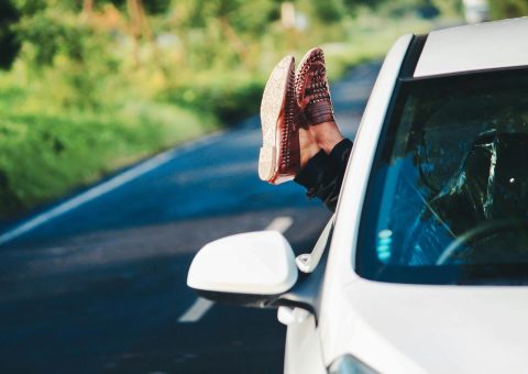 License Disc Renewal