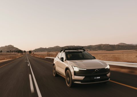 license disc renewal in South Africa license disc renewal in South Africa