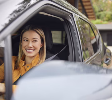 Car License Disc Renewal 360x320